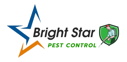 Essential Monsoon Pest Prevention Guide for Delhi NCR Homes